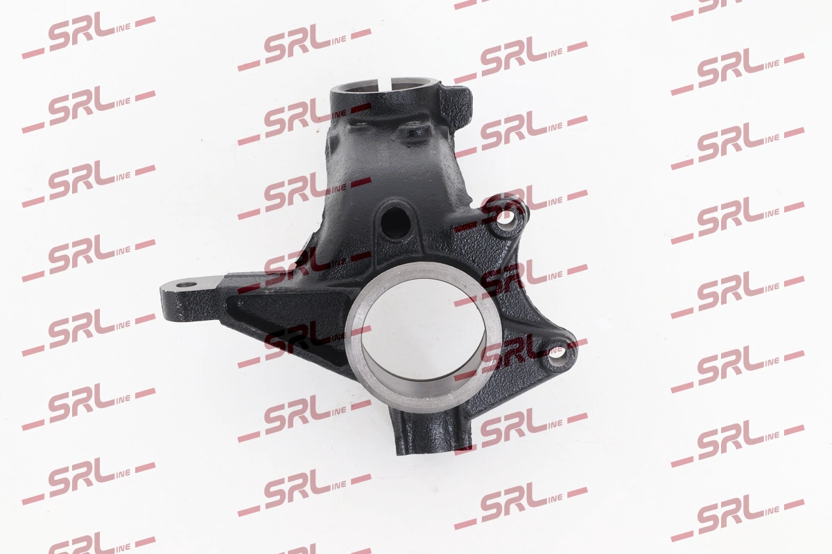Steering Knuckle, wheel suspension (ZW-PE003P)