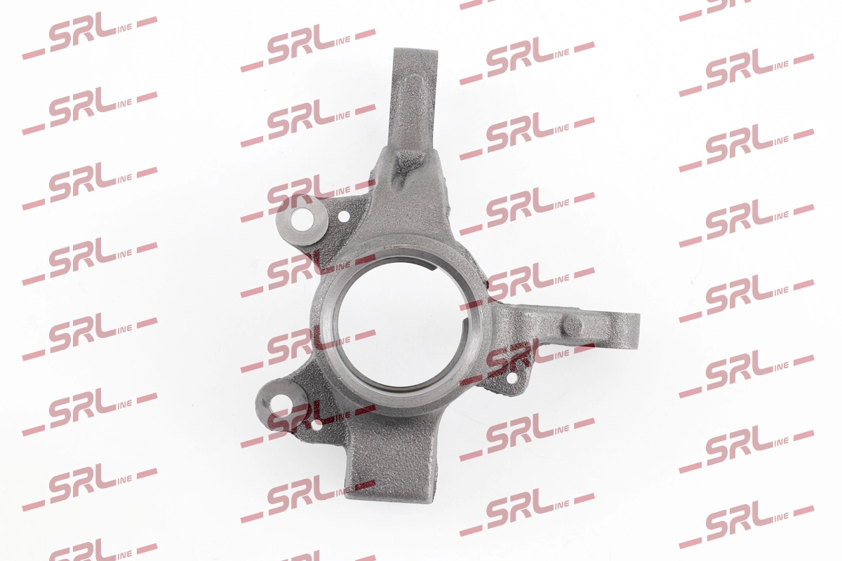 Steering Knuckle, wheel suspension (ZW-R002L)