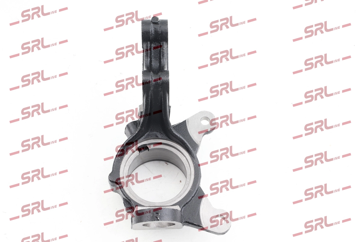 Steering Knuckle, wheel suspension (ZW-H001P)