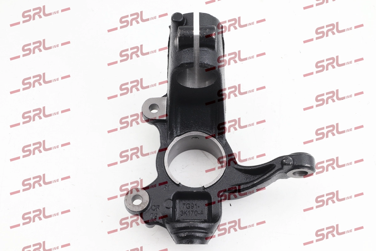 Steering Knuckle, wheel suspension (ZW-FO003P)