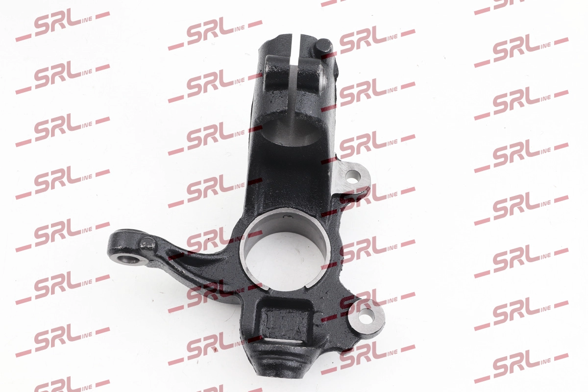 Steering Knuckle, wheel suspension (ZW-FO003L)