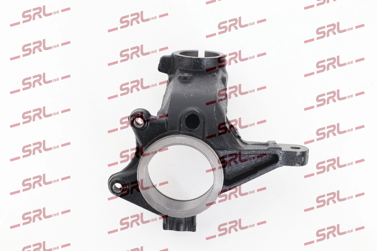 Steering Knuckle, wheel suspension (ZW-PE002L)