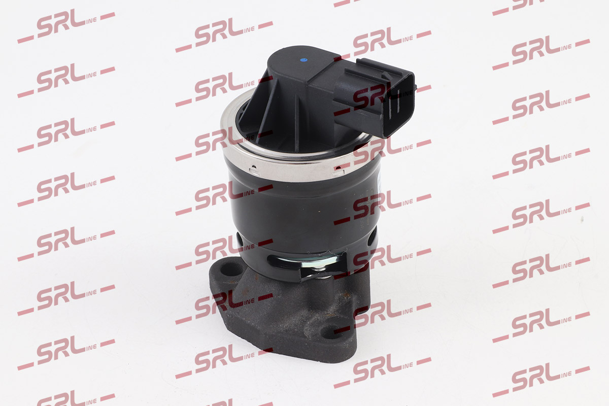 EGR Valve (SE07-0098)