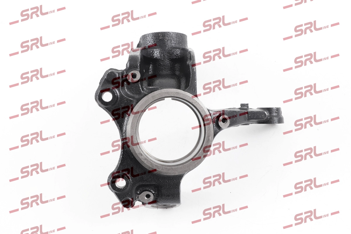 Steering Knuckle, wheel suspension (ZW-A013L)