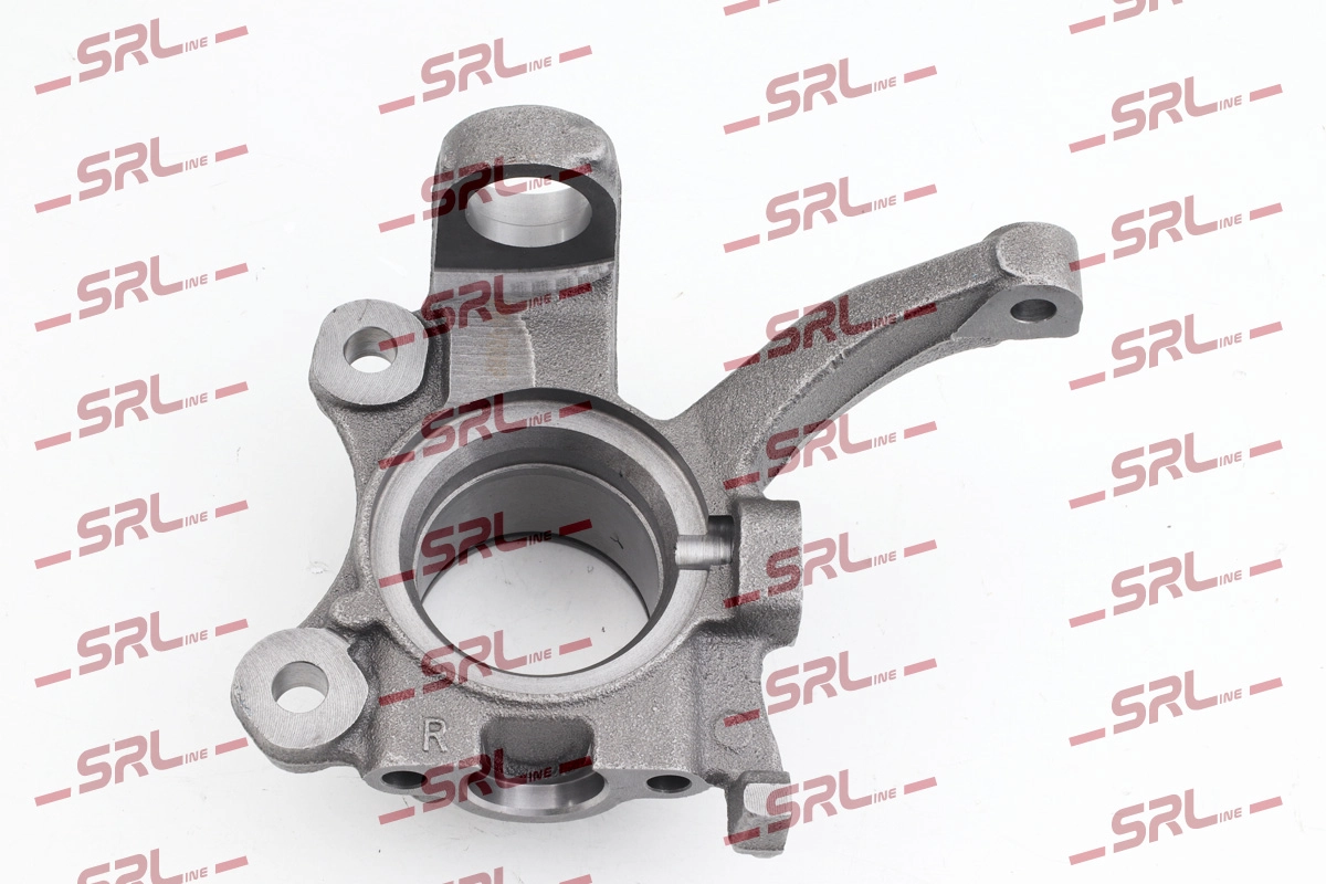 Steering Knuckle, wheel suspension (ZW-V008P)