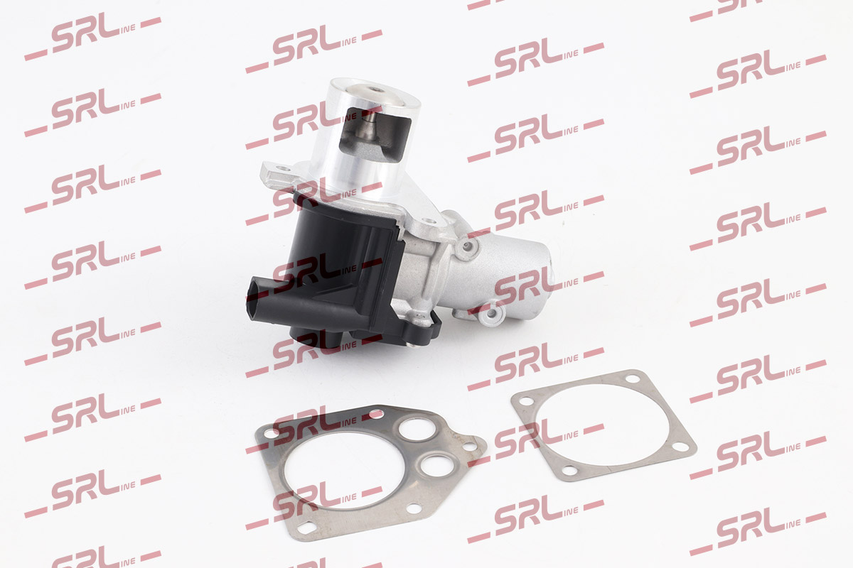 EGR Valve (SE07-0096)