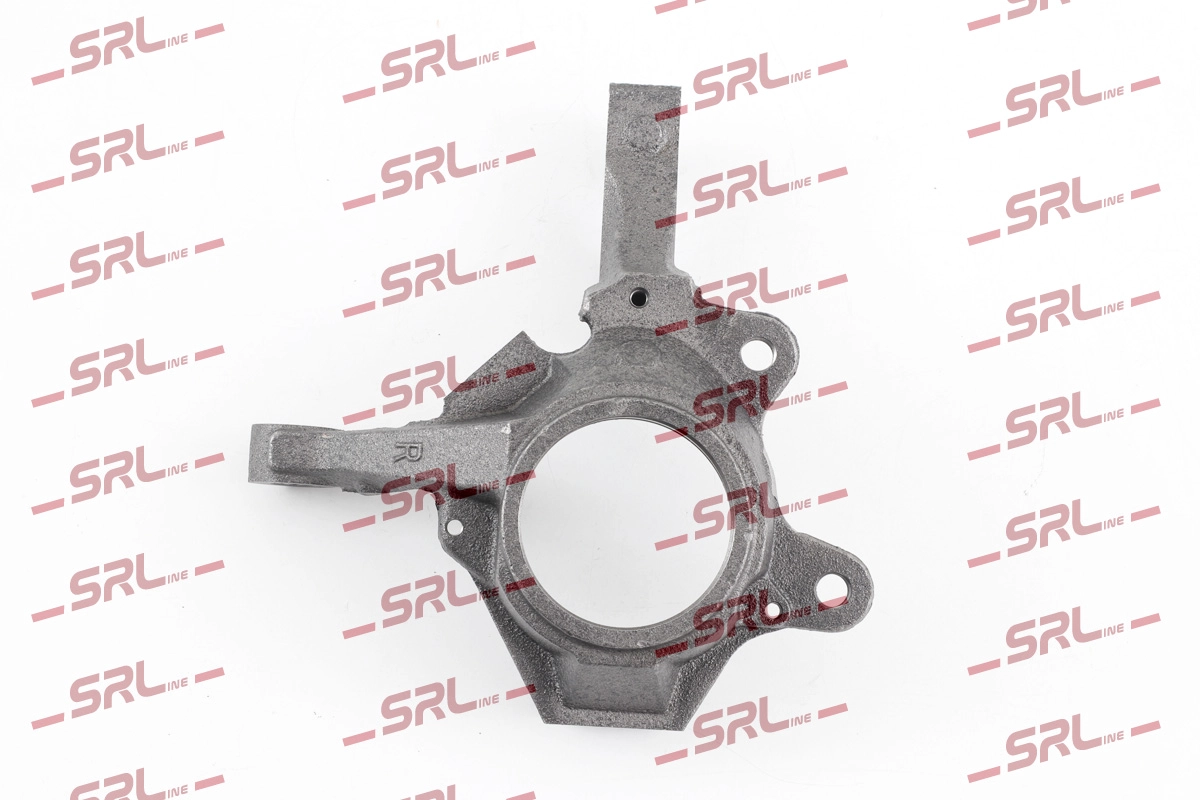 Steering Knuckle, wheel suspension (ZW-R006P)