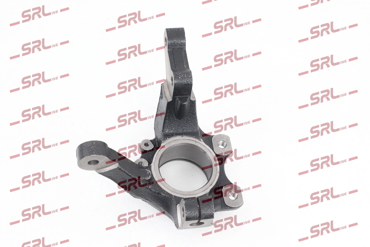 Steering Knuckle, wheel suspension (ZW-P004L)