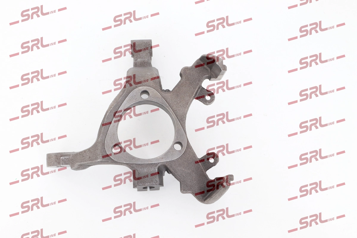 Steering Knuckle, wheel suspension (ZW-P010P)