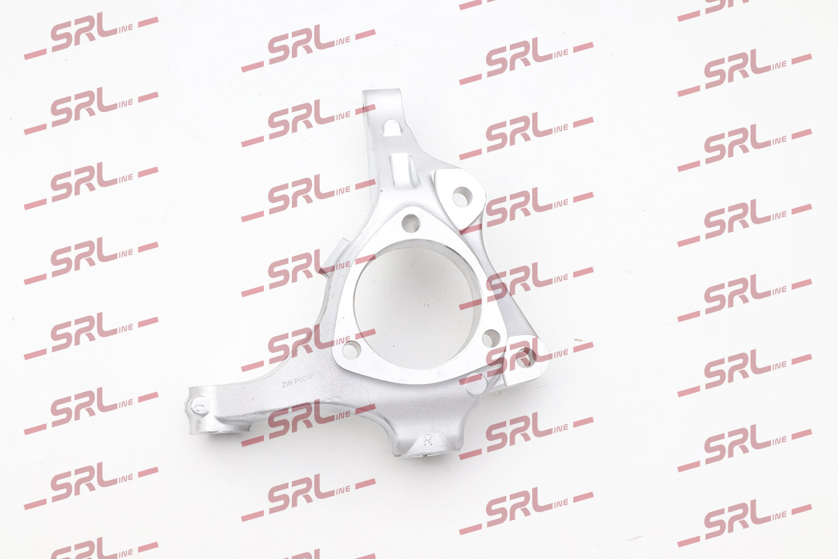 Steering Knuckle, wheel suspension (ZW-P001P)