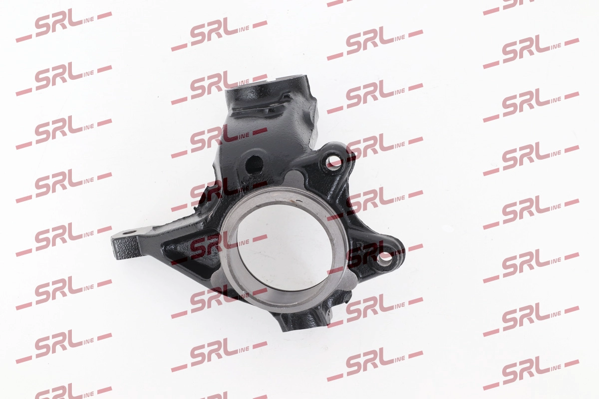 Steering Knuckle, wheel suspension (ZW-PE001P)