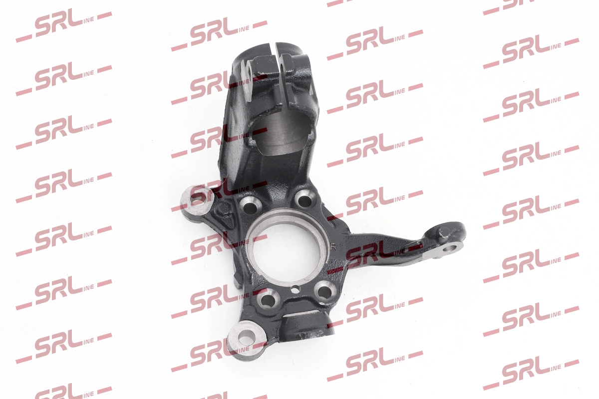 Steering Knuckle, wheel suspension (ZW-A006P)