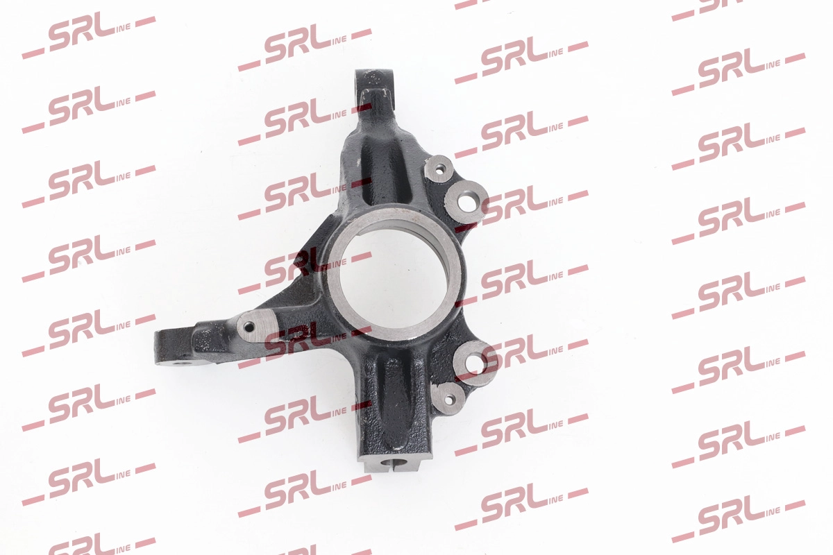 Steering Knuckle, wheel suspension (ZW-P012P)