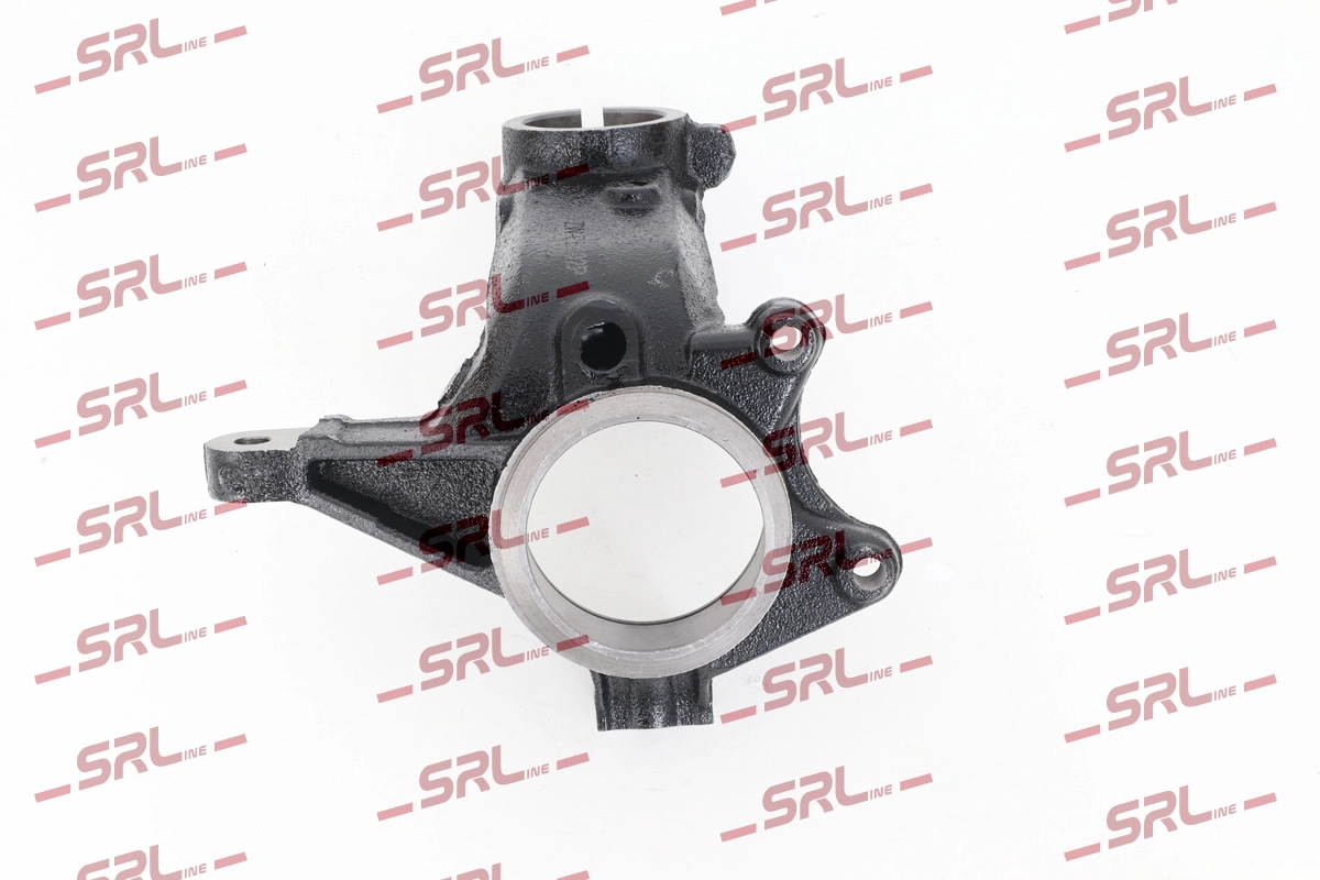 Steering Knuckle, wheel suspension (ZW-PE002P)