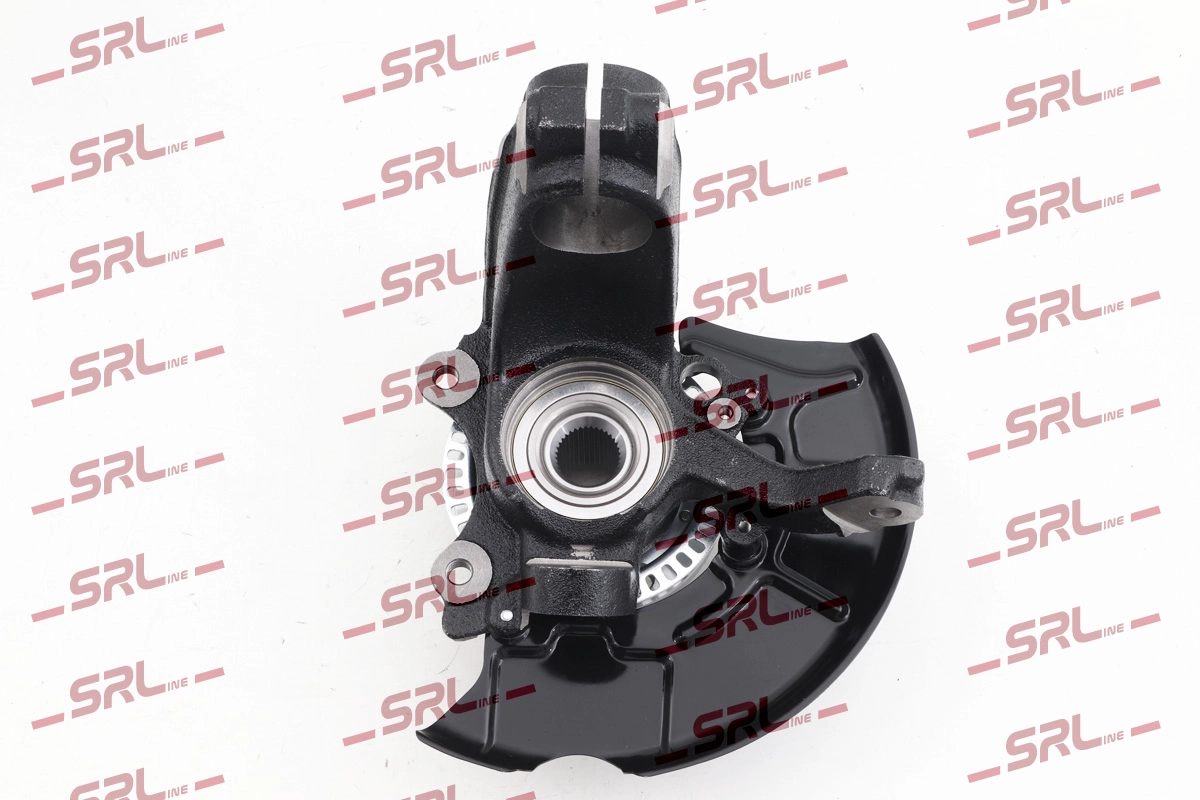 Steering Knuckle, wheel suspension (ZW-A040P)