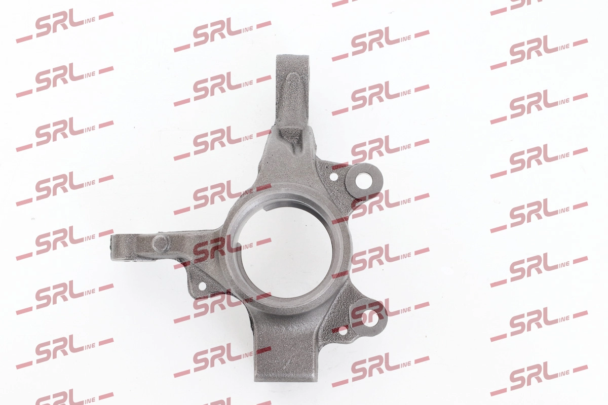 Steering Knuckle, wheel suspension (ZW-R002P)