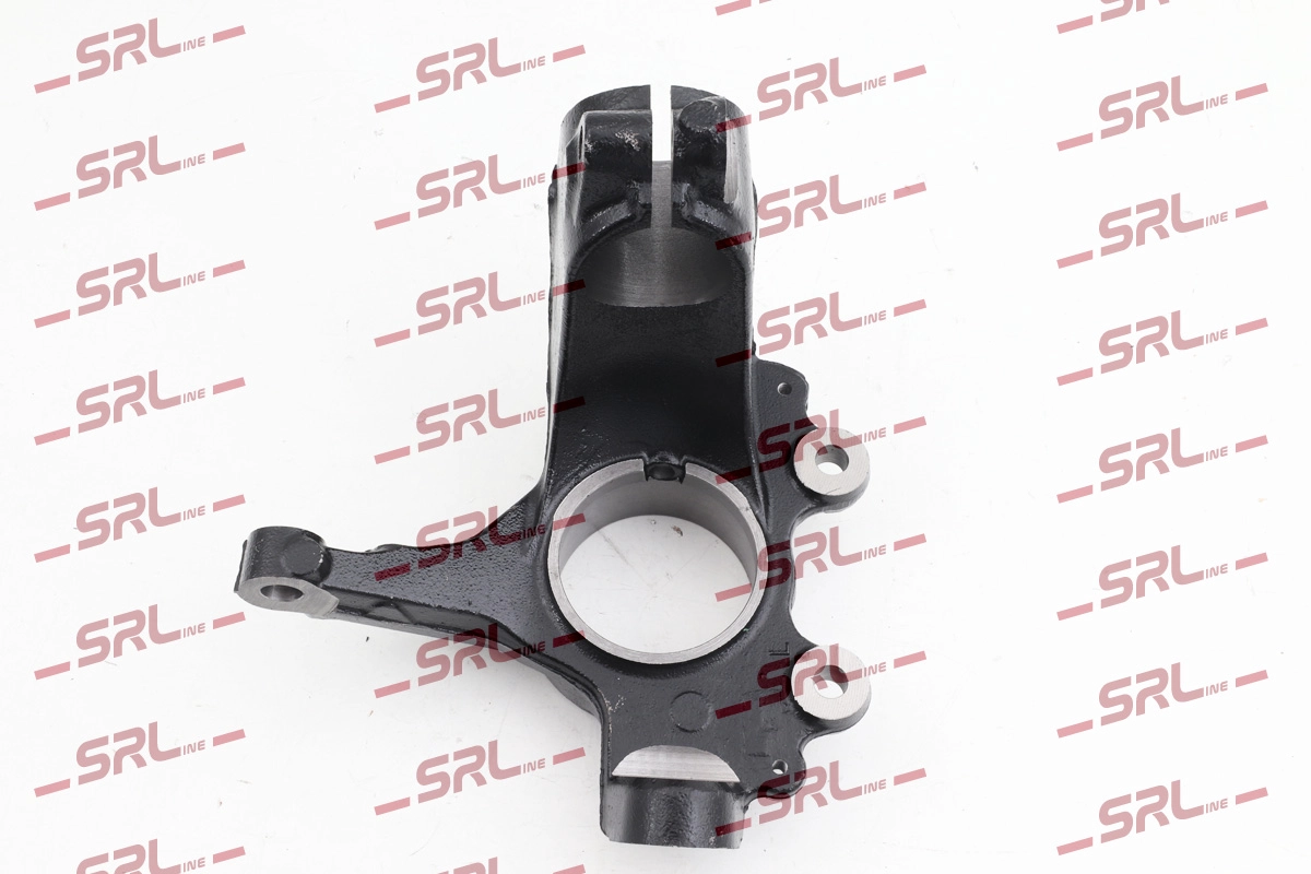 Steering Knuckle, wheel suspension (ZW-FO001L)
