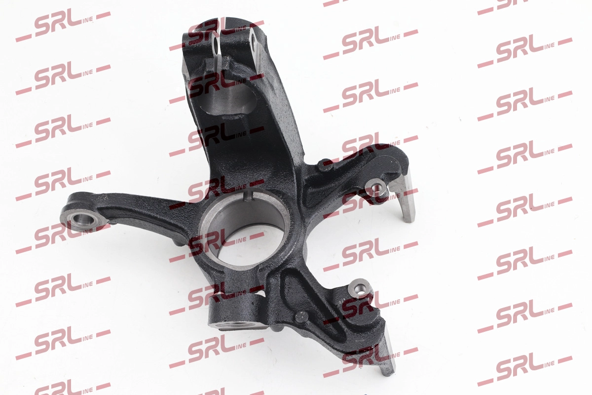 Steering Knuckle, wheel suspension (ZW-V006L)