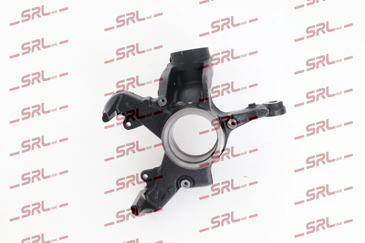 Steering Knuckle, wheel suspension (ZW-SK002L)