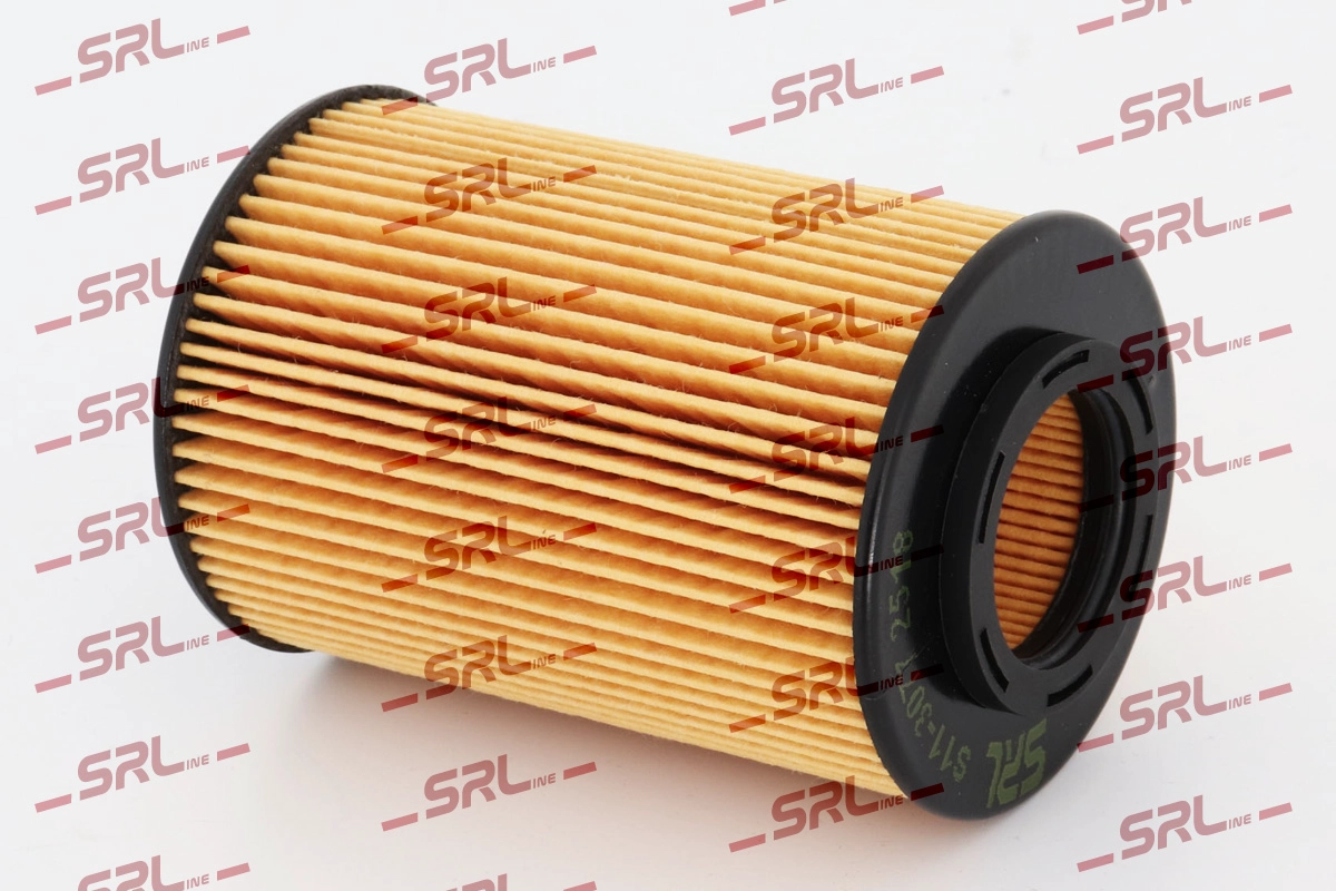 Oil Filter (S11-3077)