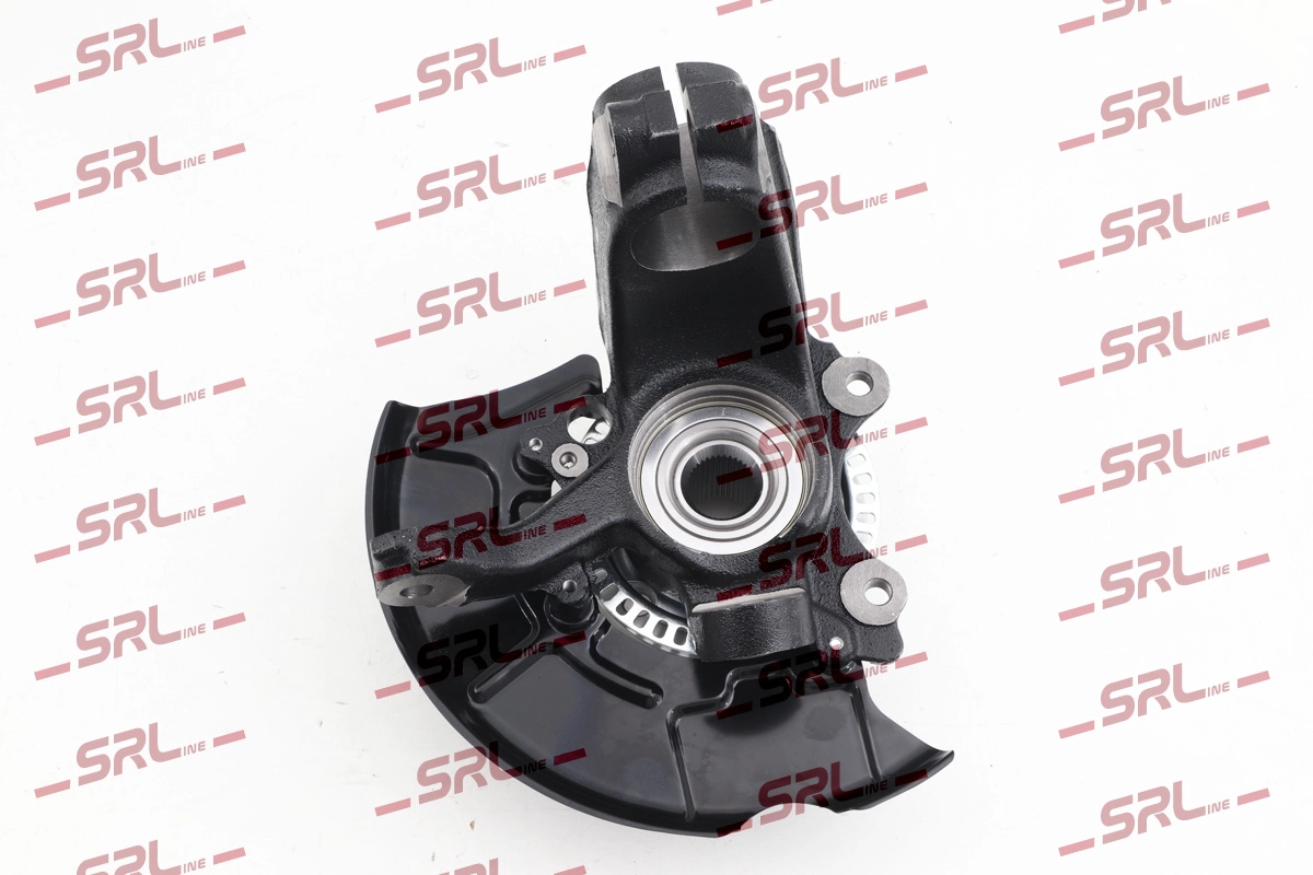 Steering Knuckle, wheel suspension (ZW-A040L)