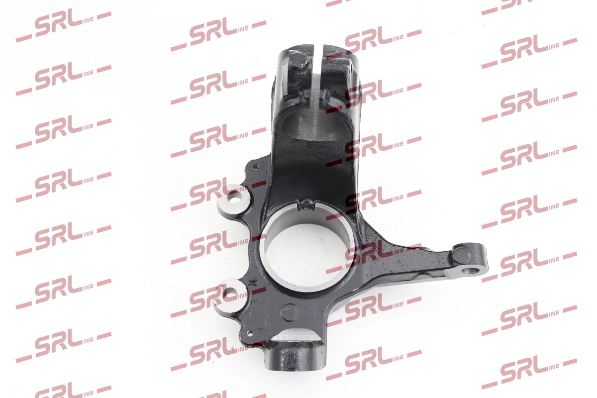 Steering Knuckle, wheel suspension (ZW-FO001P)