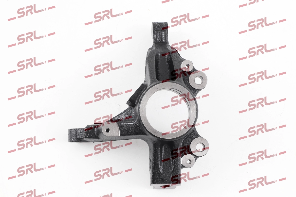 Steering Knuckle, wheel suspension (ZW-P009P)