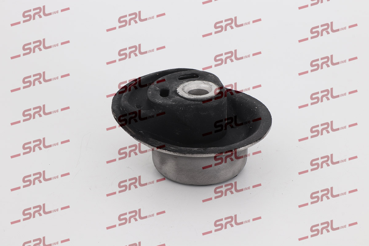 Bushing, axle beam (S2495005)