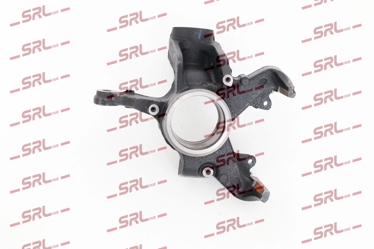 Steering Knuckle, wheel suspension (ZW-SK002P)