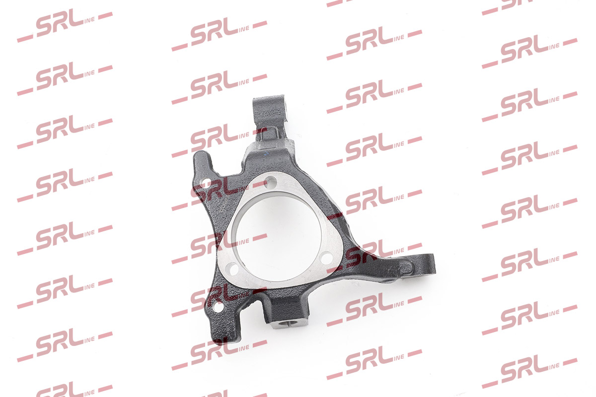 Steering Knuckle, wheel suspension (ZW-P002L)