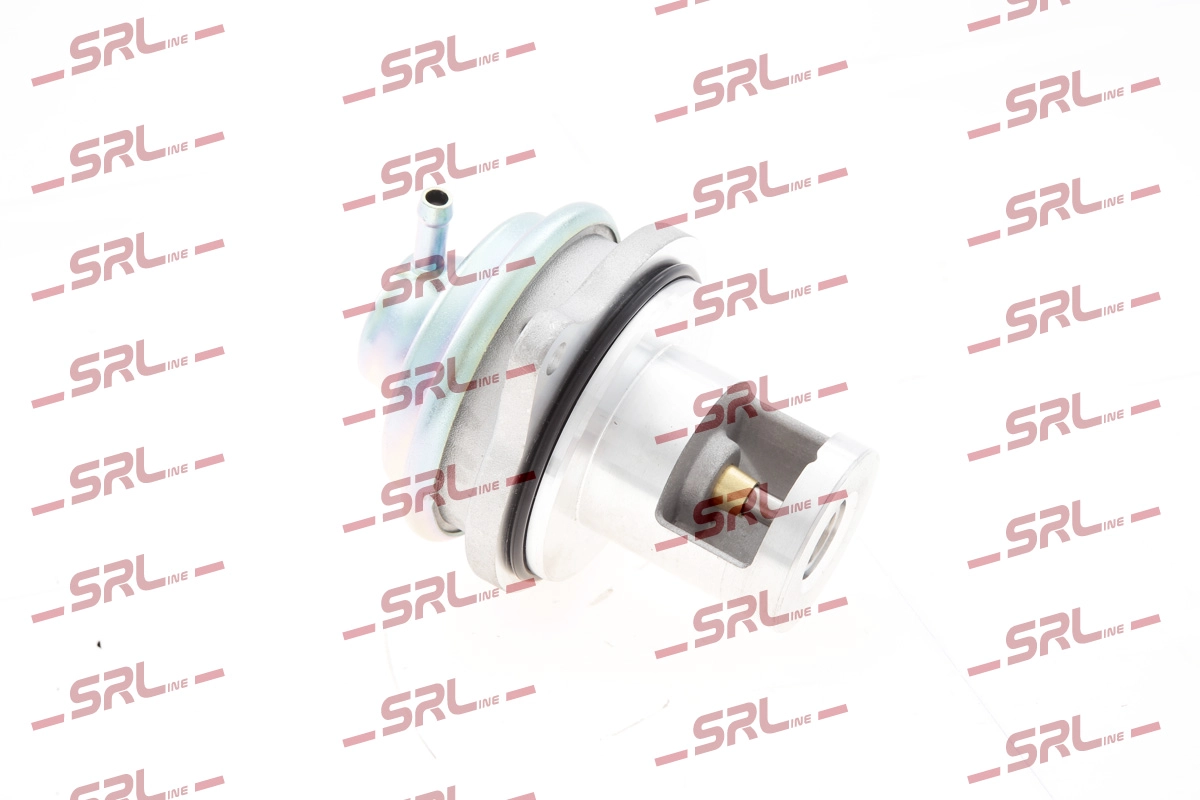 EGR Valve (SE07-0134)