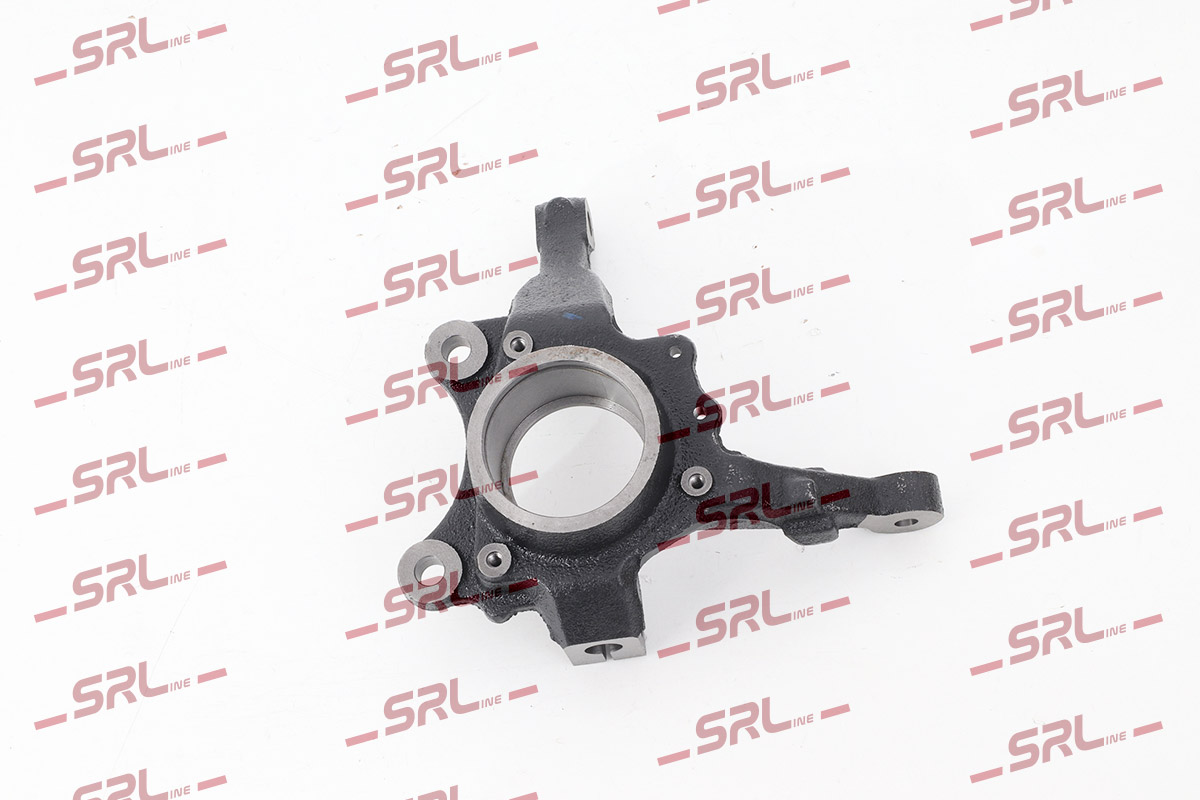 Steering Knuckle, wheel suspension (ZW-P003L)