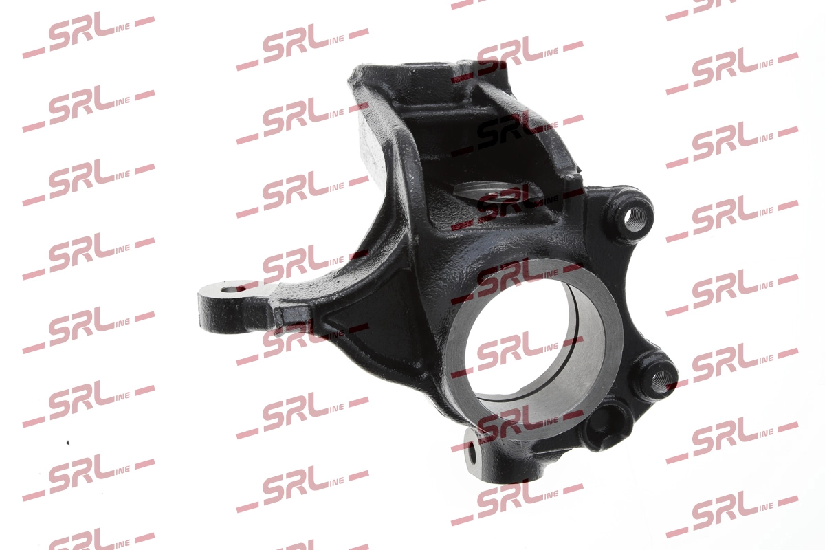 Steering Knuckle, wheel suspension (ZW-PE005P)