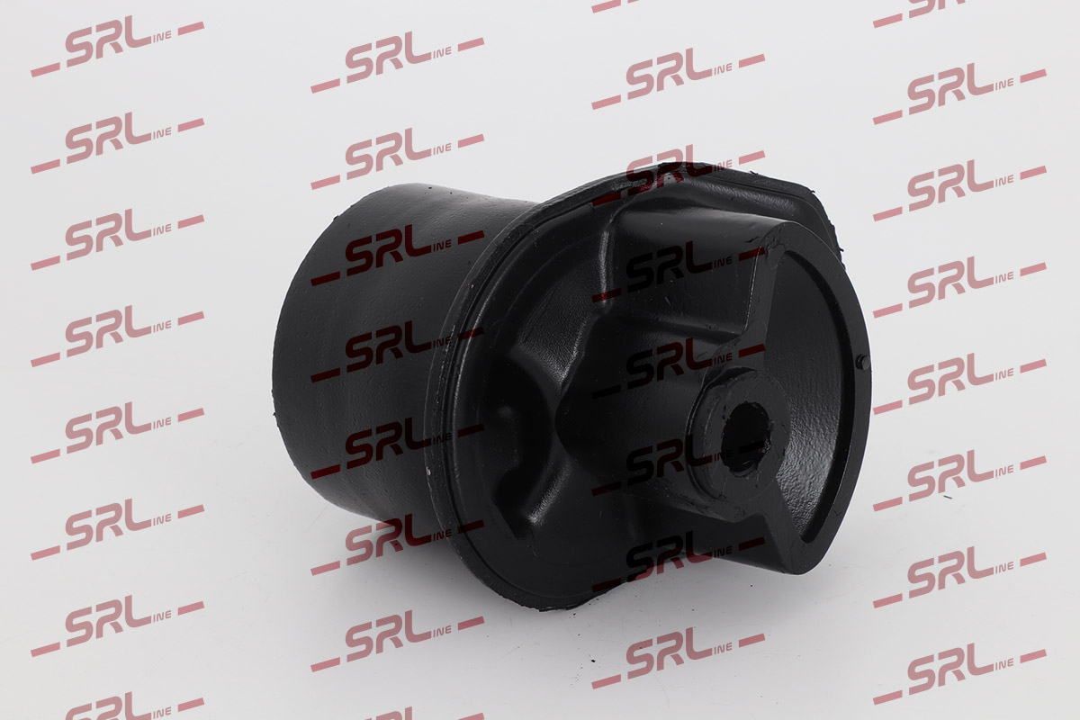 Bushing, axle beam (S2481002)