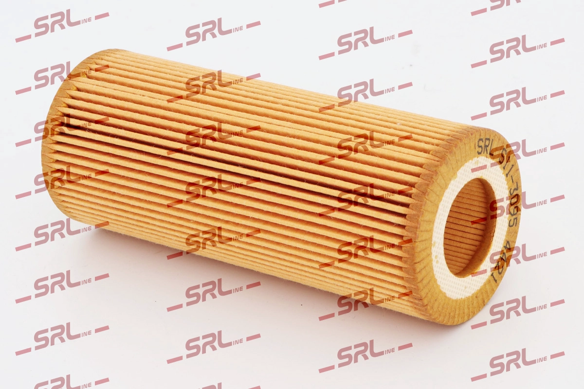 Oil Filter (S11-3095)