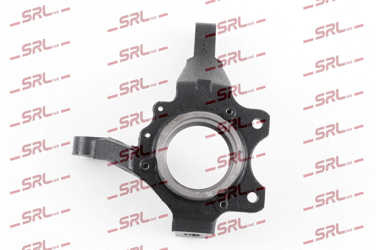 Steering Knuckle, wheel suspension (ZW-P004P)