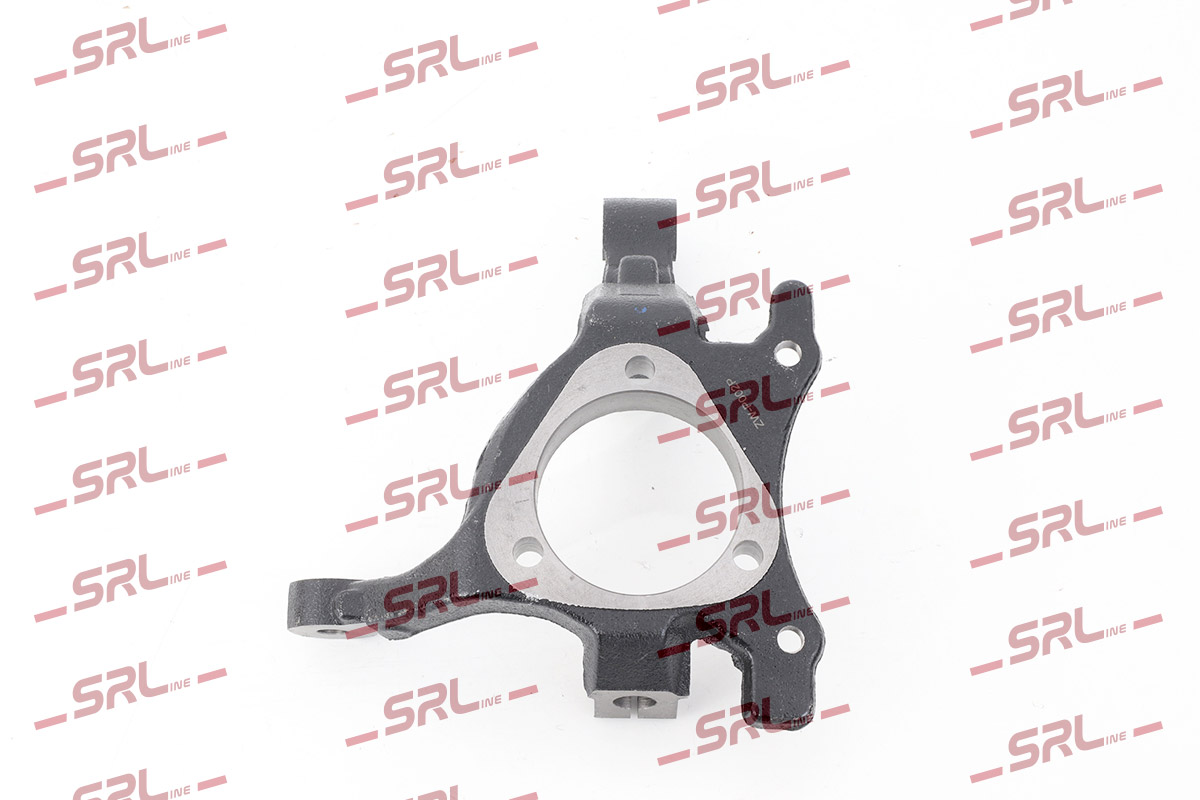 Steering Knuckle, wheel suspension (ZW-P002P)