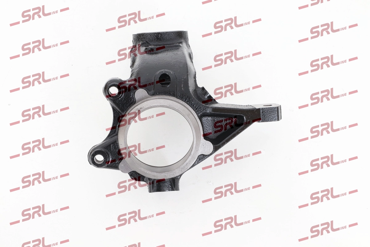 Steering Knuckle, wheel suspension (ZW-PE001L)