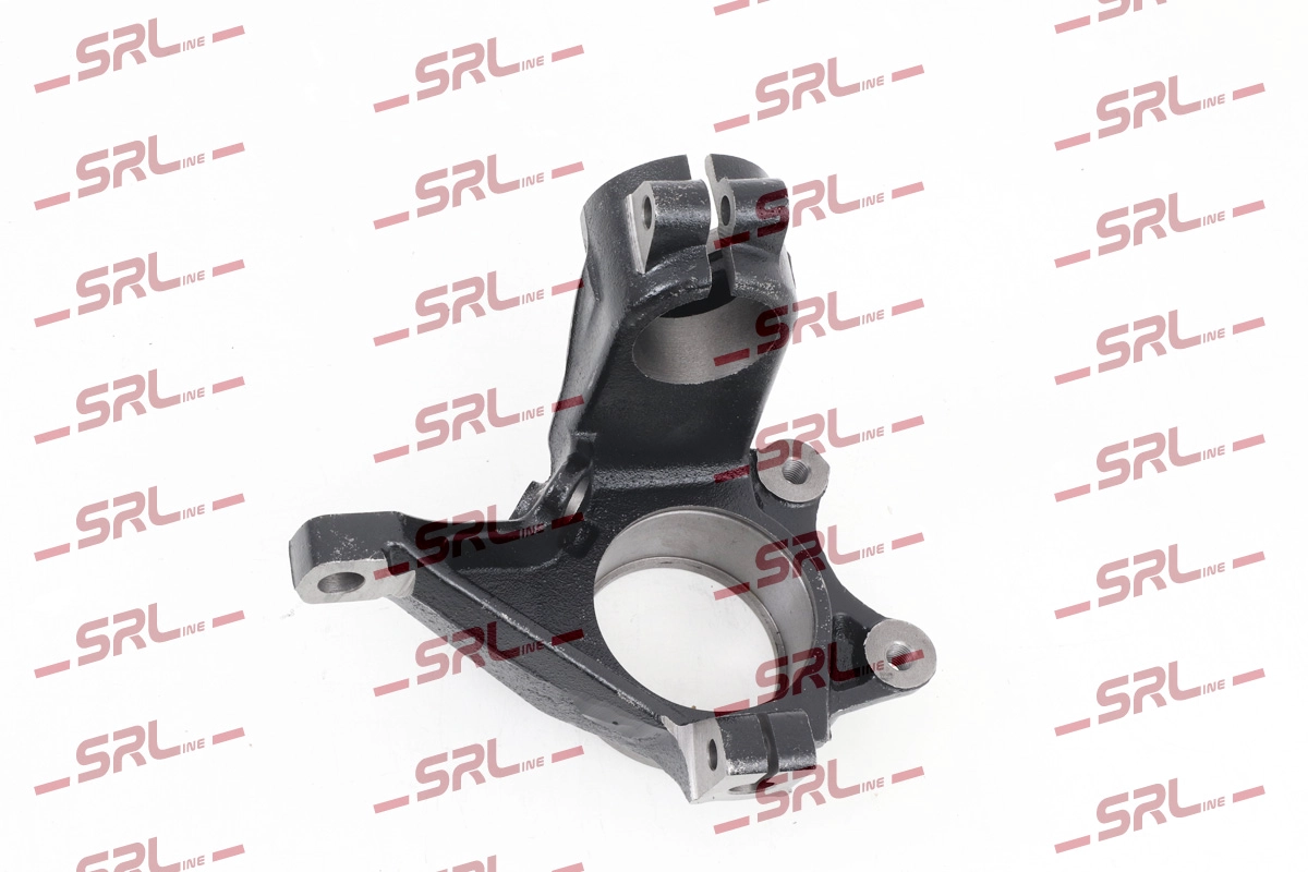 Steering Knuckle, wheel suspension (ZW-PE004L)