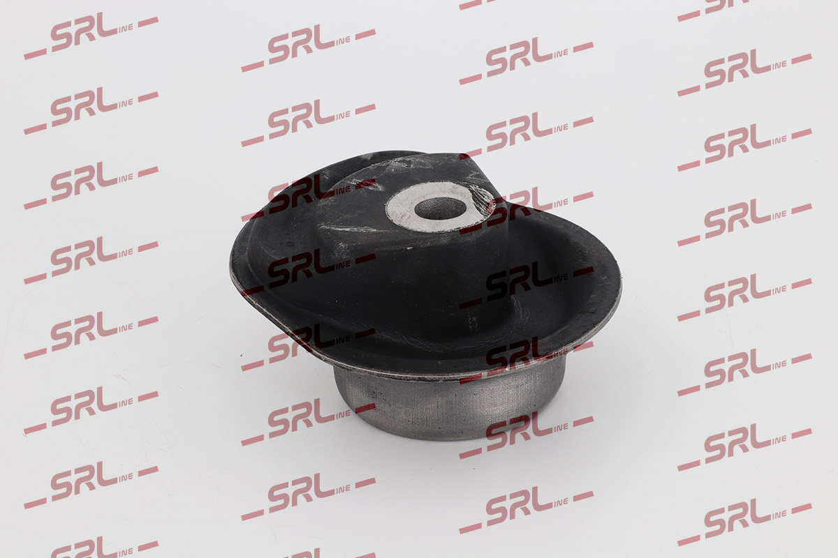 Bushing, axle beam (S2495007)
