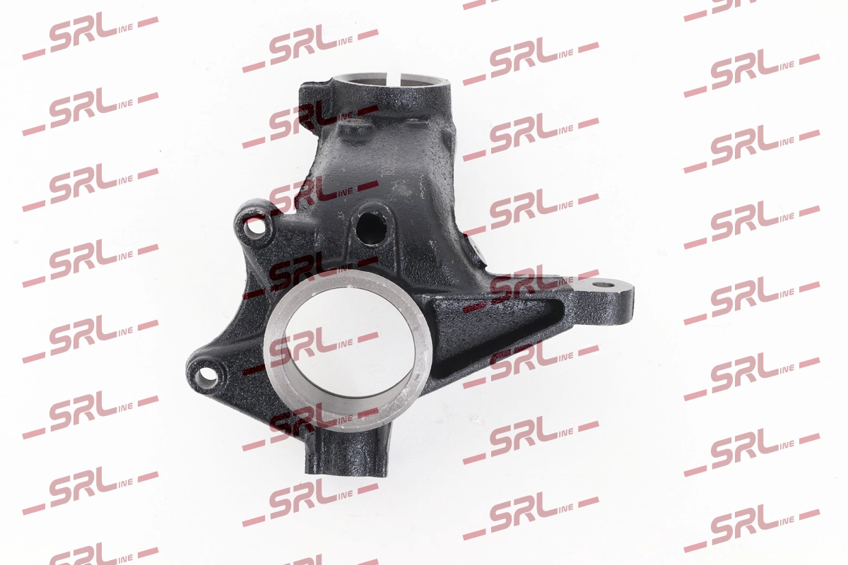 Steering Knuckle, wheel suspension (ZW-PE003L)