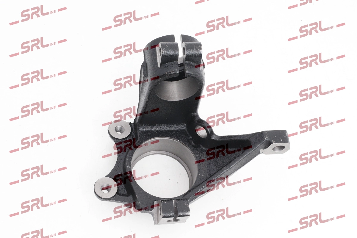 Steering Knuckle, wheel suspension (ZW-PE004P)