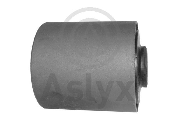 Mounting, leaf spring (AS-200973)