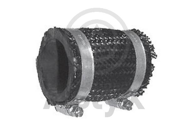 Charge Air Hose (AS-204230)