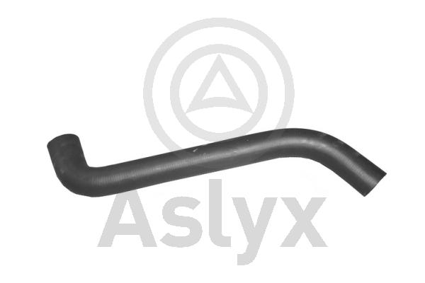Radiator Hose (AS-203787)