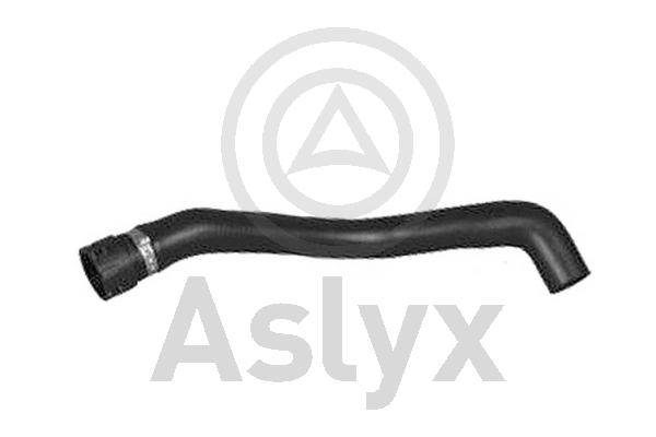 Radiator Hose (AS-204254)