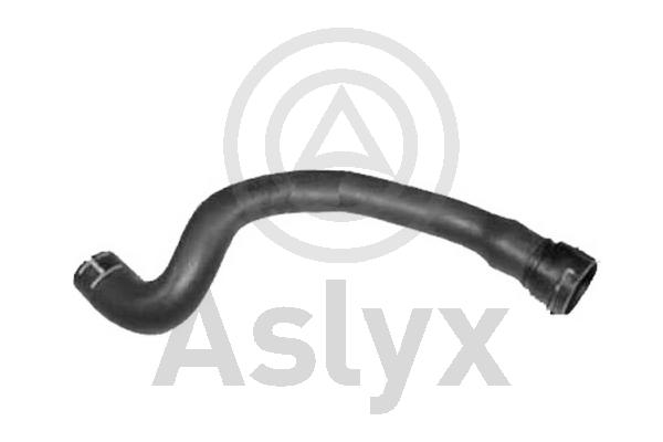 Radiator Hose (AS-204478)