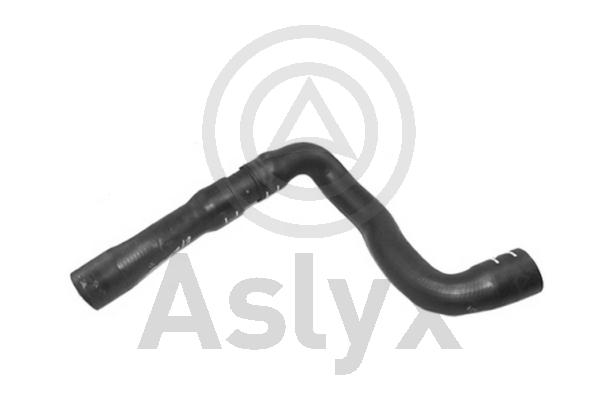 Radiator Hose (AS-509875)
