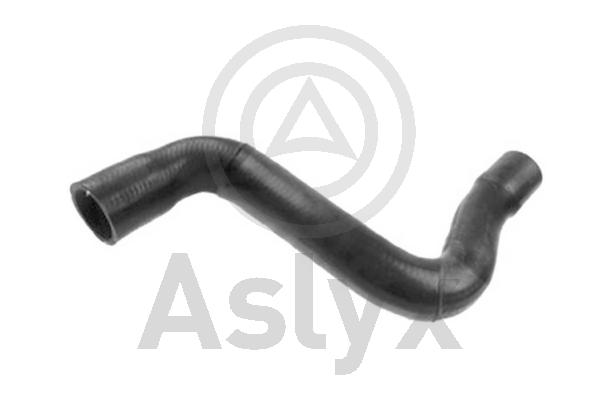 Radiator Hose (AS-203755)