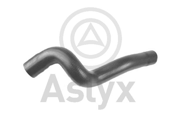Charge Air Hose (AS-204296)